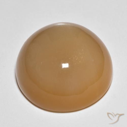 Pietra di luna Marrone chiaro naturale da 27.15 ct, Rotondo, Traslucido