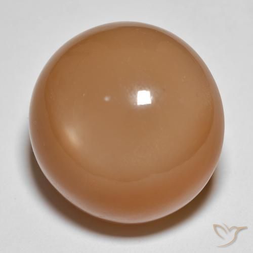 Pietra di luna Marrone medio naturale da 28.68 ct, Rotondo, Traslucido