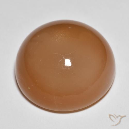 Pietra di luna Marrone medio naturale da 28.68 ct, Rotondo, Traslucido
