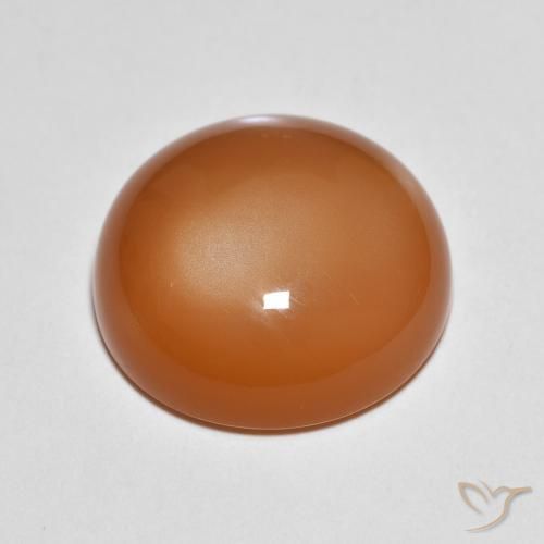 Pietra di luna Arancio Medio naturale da 8.99 ct, Rotondo, Traslucido