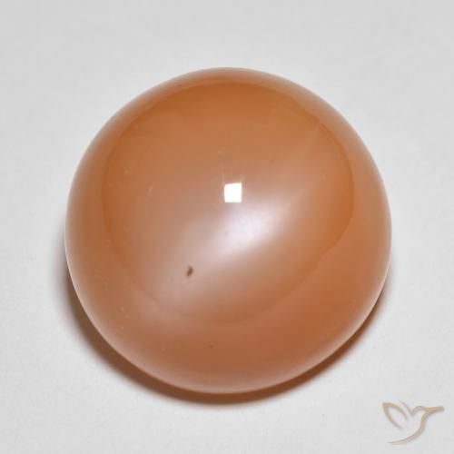 18.54ct Naturale Arancio rossastro chiaro Pietra di luna, Rotondo, Traslucido