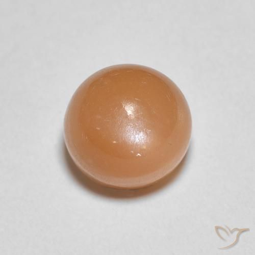 1.22ct Naturale Arancia Albicocca tiepida Warm Pietra di luna, Rotondo, Traslucido