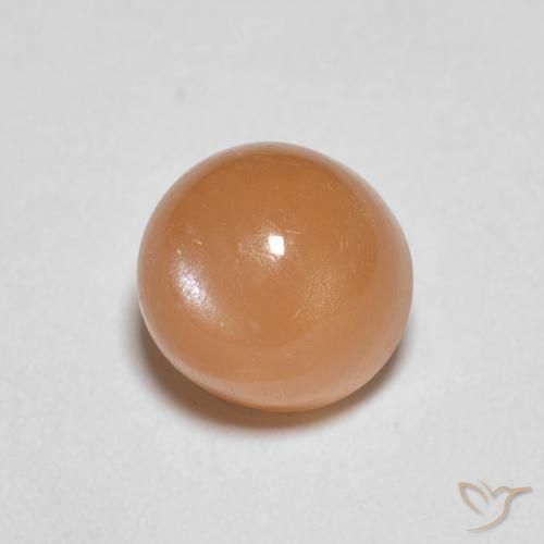 Pietra di luna Arancia Albicocca tiepida Warm naturale da 1.22 ct, Rotondo, Traslucido