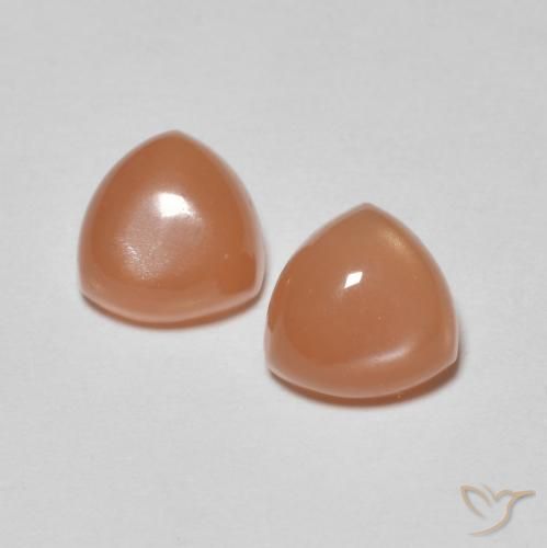 Gemme di Pietra di luna Arancio rossastro chiaro naturale da 1.58 ct, Taglio trillion, Traslucido
