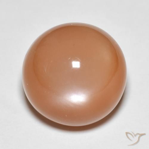 13.61ct Naturale Cantalupo Arancia Pietra di luna, Rotondo, Traslucido
