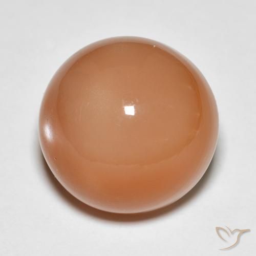 Pietra di luna Cantalupo Arancia naturale da 13.61 ct, Rotondo, Traslucido