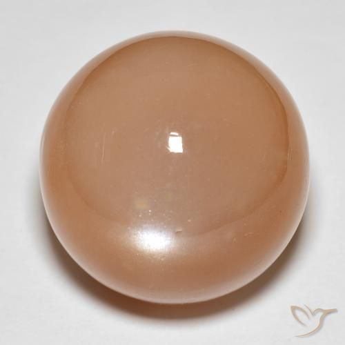 31.92ct Naturale Cantalupo Arancia Pietra di luna, Rotondo, Traslucido