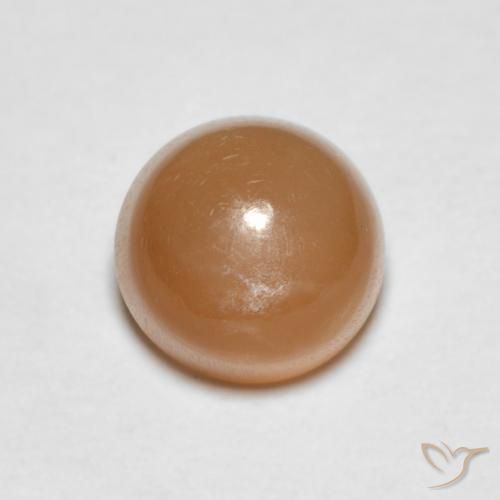 1.19ct Naturale Cantalupo Arancia Pietra di luna, Rotondo, Traslucido