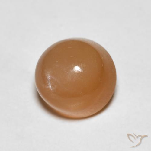 Pietra di luna Cantalupo Arancia naturale da 1.19 ct, Rotondo, Traslucido