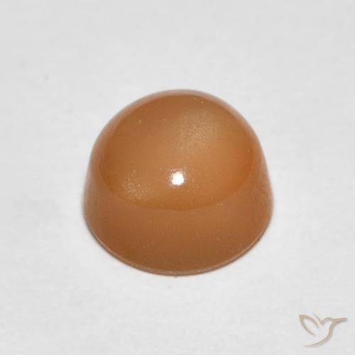 Pietra di luna Cantalupo Arancia naturale da 1.19 ct, Rotondo, Traslucido