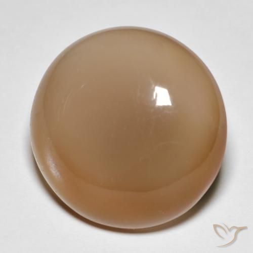 18.95ct Naturale Cantalupo Arancia Pietra di luna, Rotondo, Traslucido