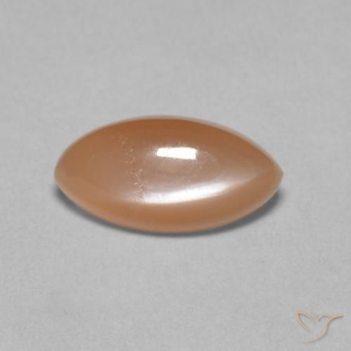 1.25ct Naturale Arancia Cantalupo Pale Pietra di luna, Taglio marquise, Traslucido