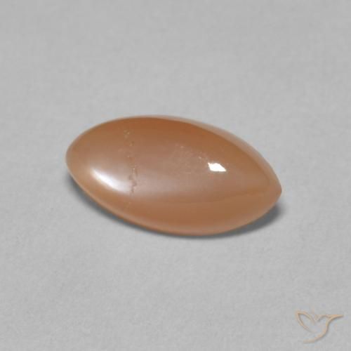 Pietra di luna Arancia Cantalupo Pale naturale da 1.25 ct, Taglio marquise, Traslucido