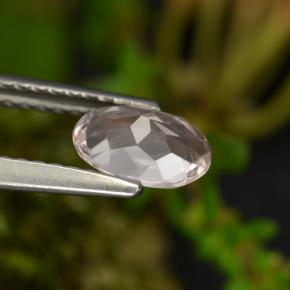 Morganite naturale rosa da 0,60 ct, taglio ovale, VVS-VS
