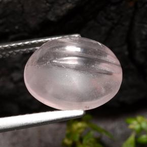 Morganite rosa chiaro naturale da 5,65 ct, taglio rotondo, trasparente