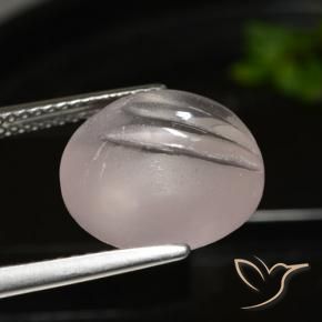 Morganite Tono rosa rosa naturale da 6.30 ct, Rotondo, Trasparente