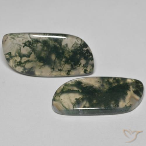 Gemme di Agata muschiata Multicolore naturale da 33.46 ct, Taglio a fantasia, Trasparente
