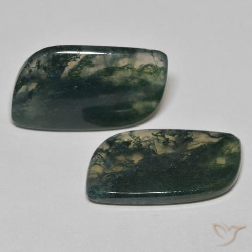 Gemme di Agata muschiata Multicolore naturale da 22.84 ct, Taglio a fantasia, Trasparente