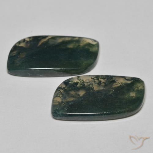 Gemme di Agata muschiata Multicolore naturale da 22.84 ct, Taglio a fantasia, Trasparente