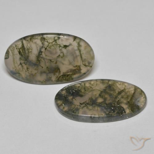 Gemme di Agata muschiata Multicolore naturale da 19.45 ct, Ovale, Trasparente