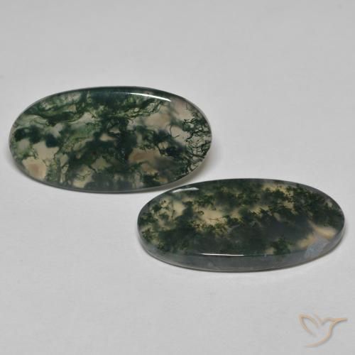 Gemme di Agata muschiata Multicolore naturale da 24.09 ct, Ovale, Trasparente