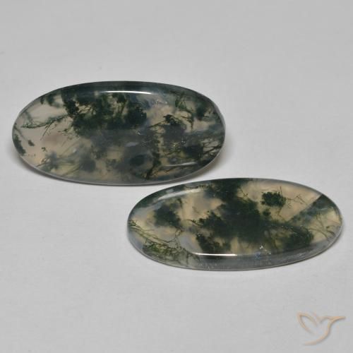 Gemme di Agata muschiata Multicolore naturale da 24.65 ct, Ovale, Trasparente