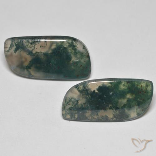19.80ctw Naturale Multicolore Agata muschiata, Taglio a fantasia, Trasparente