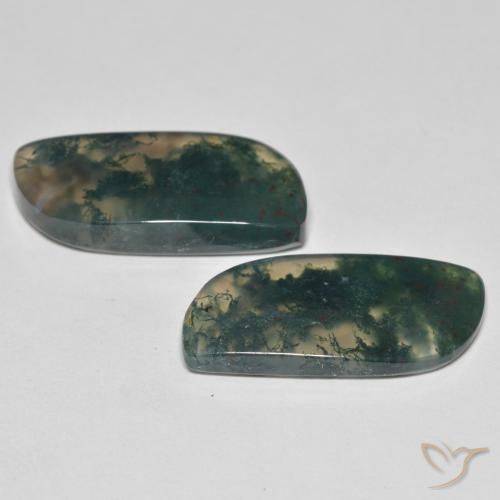 Gemme di Agata muschiata Multicolore naturale da 19.80 ct, Taglio a fantasia, Trasparente