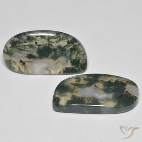 Gemme di Agata muschiata Multicolore naturale da 23.30 ct, Taglio a fantasia, Trasparente