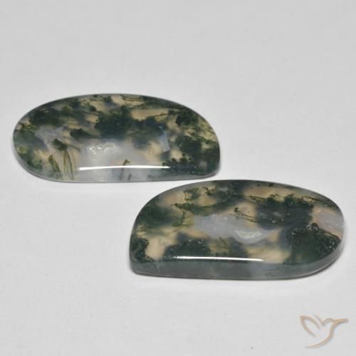 Gemme di Agata muschiata Multicolore naturale da 23.30 ct, Taglio a fantasia, Trasparente
