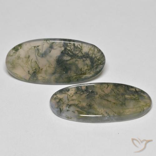 Gemme di Agata muschiata Multicolore naturale da 26.37 ct, Ovale, Trasparente