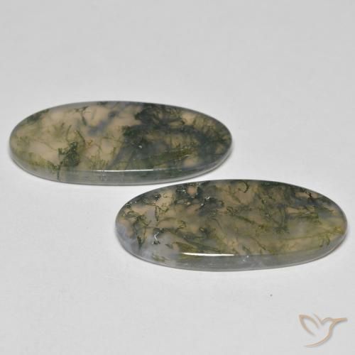 Gemme di Agata muschiata Multicolore naturale da 26.37 ct, Ovale, Trasparente