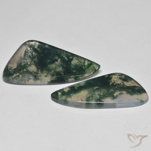 Gemme di Agata muschiata Multicolore naturale da 23.57 ct, Taglio a fantasia, Trasparente