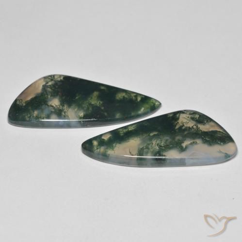 Gemme di Agata muschiata Multicolore naturale da 23.57 ct, Taglio a fantasia, Trasparente