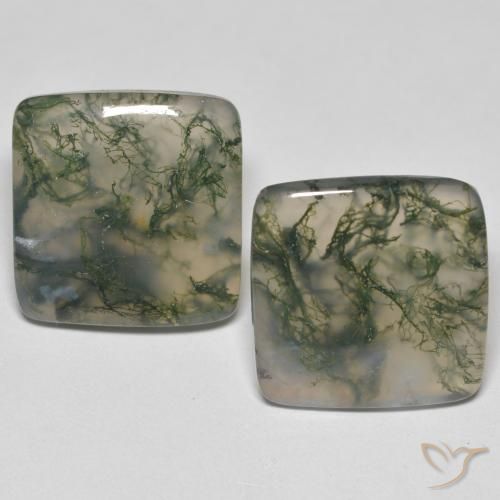 Gemme di Agata muschiata Multicolore naturale da 24.59 ct, Quadrato, Trasparente