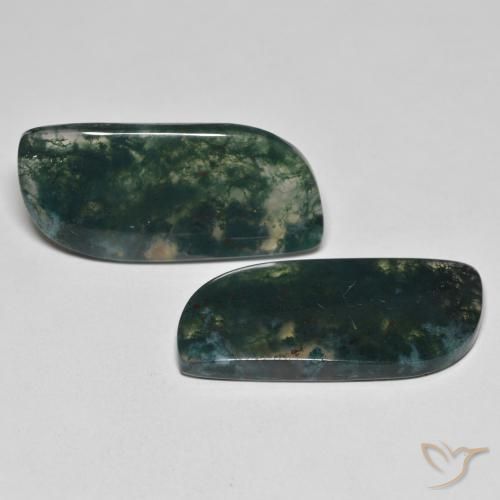 Gemme di Agata muschiata Multicolore naturale da 27.36 ct, Taglio a fantasia, Trasparente