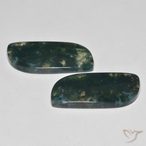 Gemme di Agata muschiata Multicolore naturale da 27.36 ct, Taglio a fantasia, Trasparente