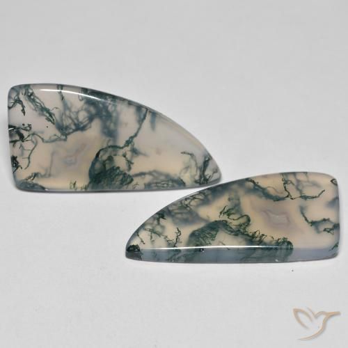 Gemme di Agata muschiata Multicolore naturale da 26.05 ct, Taglio a fantasia, Trasparente
