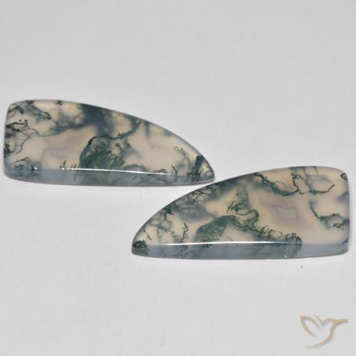 Gemme di Agata muschiata Multicolore naturale da 26.05 ct, Taglio a fantasia, Trasparente