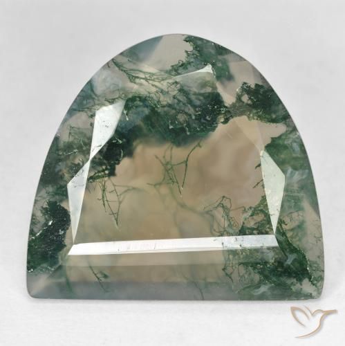 Agata muschiata naturale multicolore da 18,92 ct, forma fantasia, trasparente