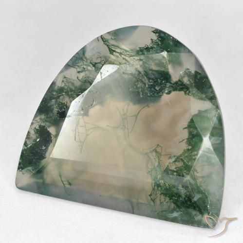 Agata muschiata naturale multicolore da 18,92 ct, forma fantasia, trasparente