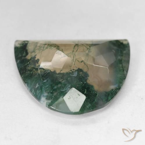 Agata muschiata naturale multicolore da 18,92 ct, forma fantasia, trasparente