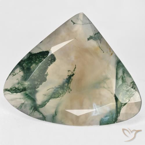 Agata muschiata Multicolore naturale da 29.68 ct, Forma a pera, Trasparente