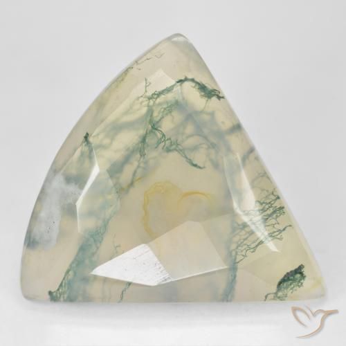 Agata muschiata naturale verde da 26,18 ct, trillion, traslucido
