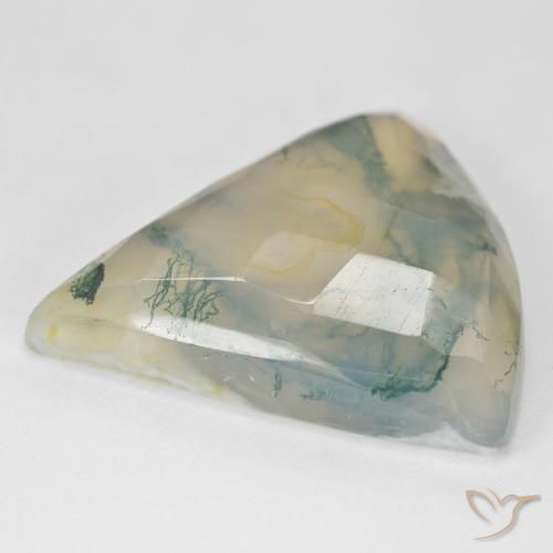 Agata muschiata naturale verde da 26,18 ct, trillion, traslucido