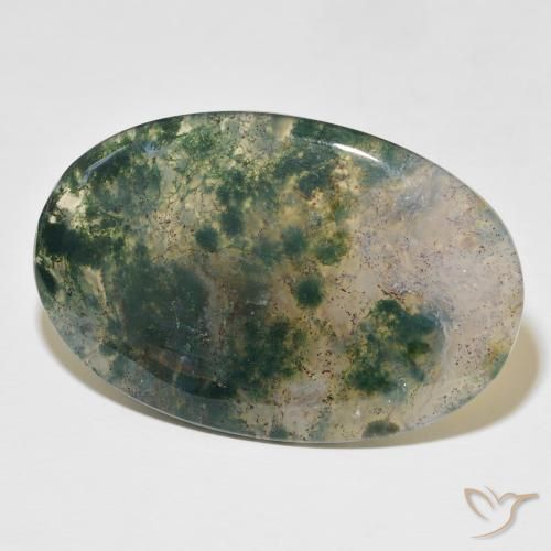 Agata muschiata Multicolore naturale da 52.44 ct, Ovale, Traslucido