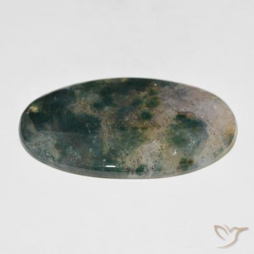 Agata muschiata Multicolore naturale da 52.44 ct, Ovale, Traslucido