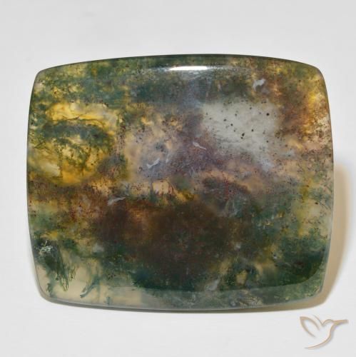 86.48ct Naturale Multicolore Agata muschiata, Cuscino, Traslucido