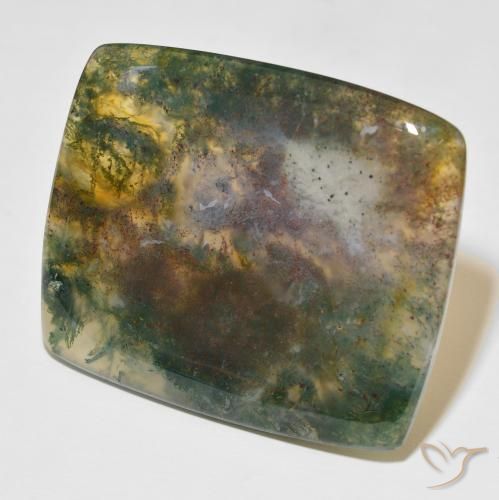 Agata muschiata Multicolore naturale da 86.48 ct, Cuscino, Traslucido