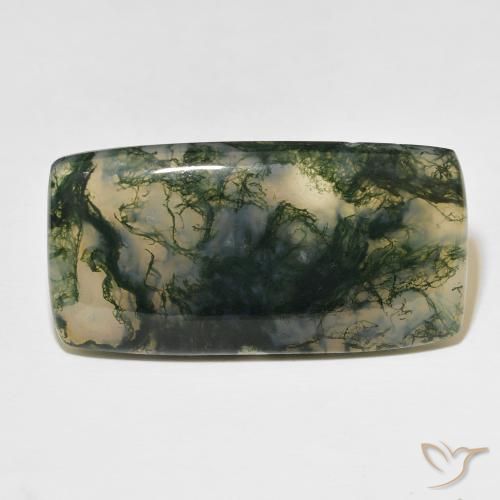 49.99ct Naturale Multicolore Agata muschiata, Cuscino, Traslucido
